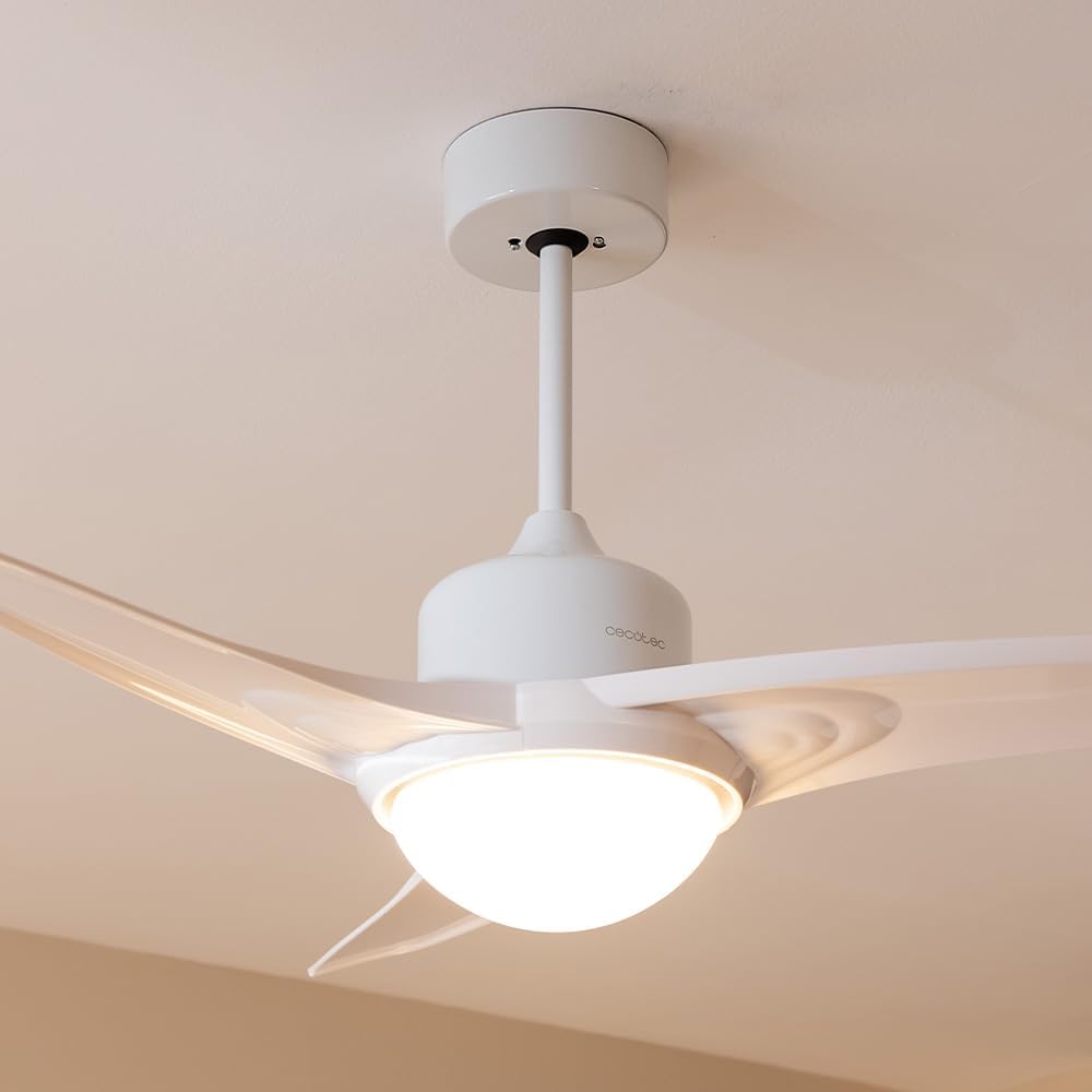 41JlfzBBP3L._AC_SL1000_