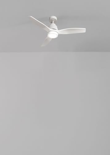 11WNjx5FuSL._AC_.jpg